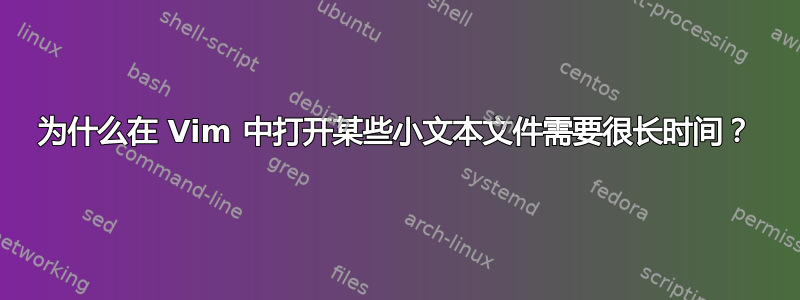 为什么在 Vim 中打开某些小文本文件需要很长时间？