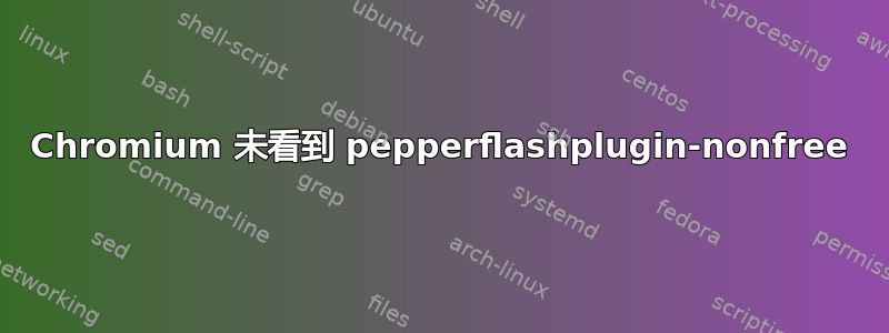 Chromium 未看到 pepperflashplugin-nonfree