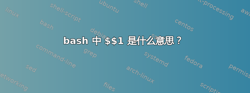 bash 中 $$1 是什么意思？