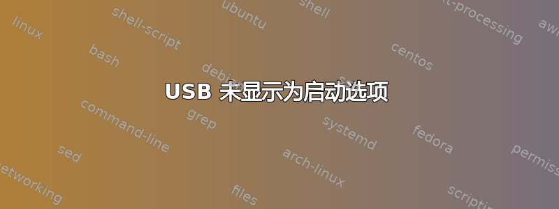 USB 未显示为启动选项