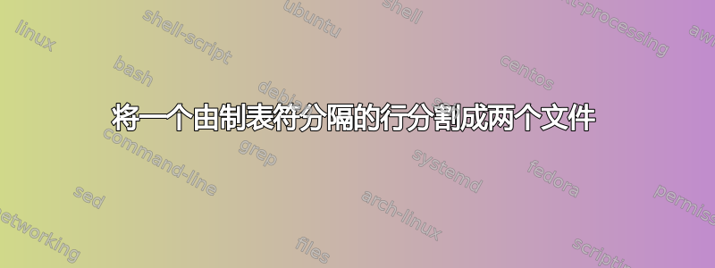 将一个由制表符分隔的行分割成两个文件