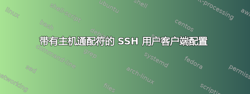 带有主机通配符的 SSH 用户客户端配置