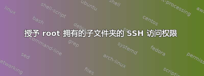 授予 root 拥有的子文件夹的 SSH 访问权限