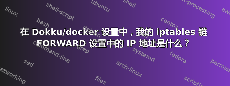 在 Dokku/docker 设置中，我的 iptables 链 FORWARD 设置中的 IP 地址是什么？