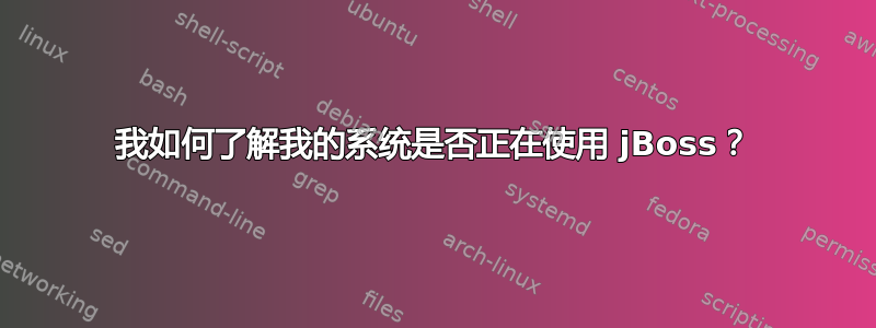 我如何了解我的系统是否正在使用 jBoss？