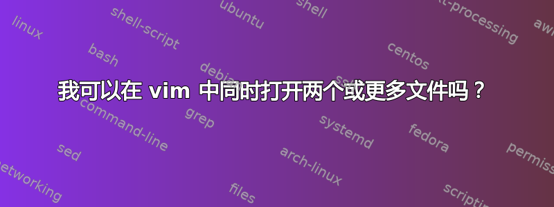 我可以在 vim 中同时打开两个或更多文件吗？