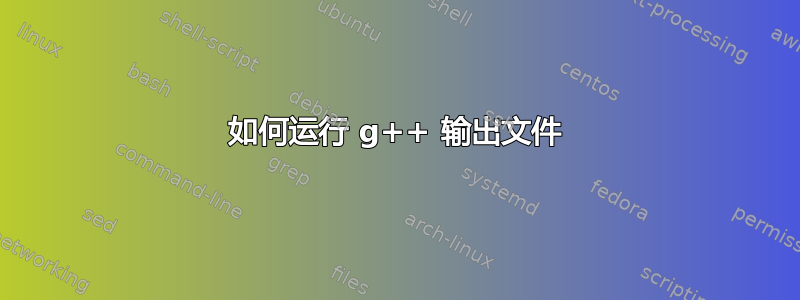 如何运行 g++ 输出文件