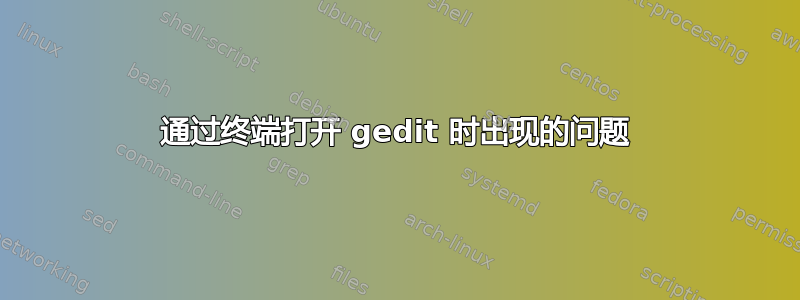 通过终端打开 gedit 时出现的问题