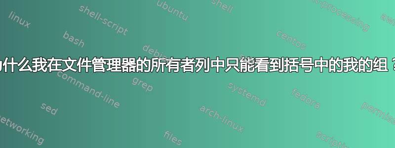 为什么我在文件管理器的所有者列中只能看到括号中的我的组？