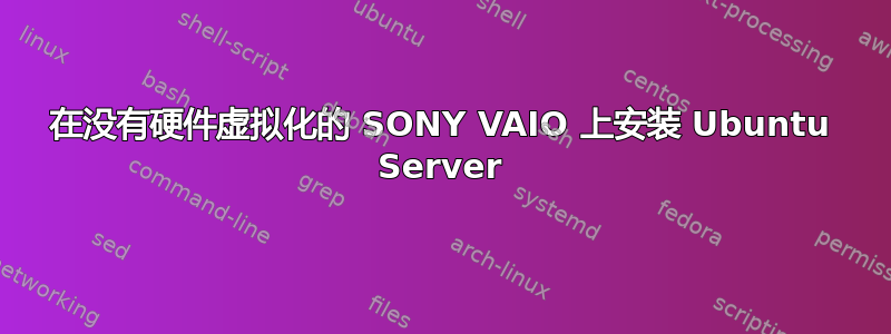 在没有硬件虚拟化的 SONY VAIO 上安装 Ubuntu Server