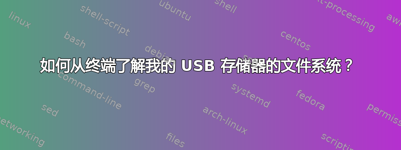 如何从终端了解我的 USB 存储器的文件系统？