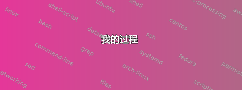 我的过程