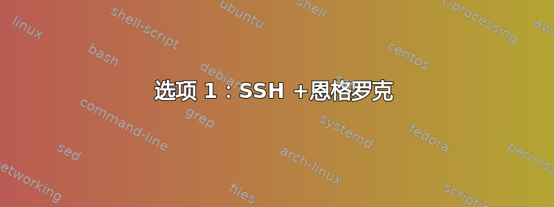 选项 1：SSH +恩格罗克