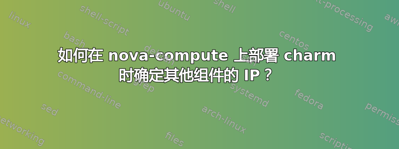 如何在 nova-compute 上部署 charm 时确定其他组件的 IP？