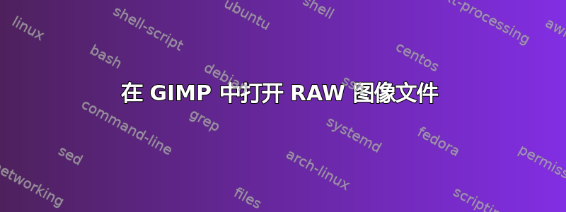 在 GIMP 中打开 RAW 图像文件