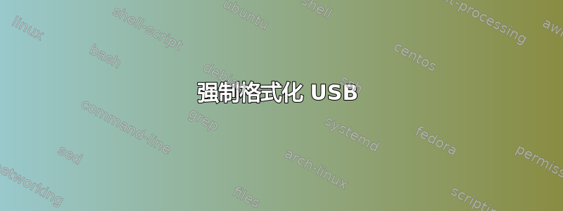 强制格式化 USB