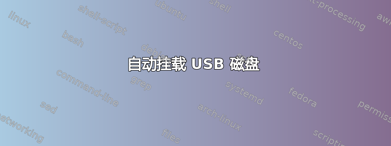 自动挂载 USB 磁盘