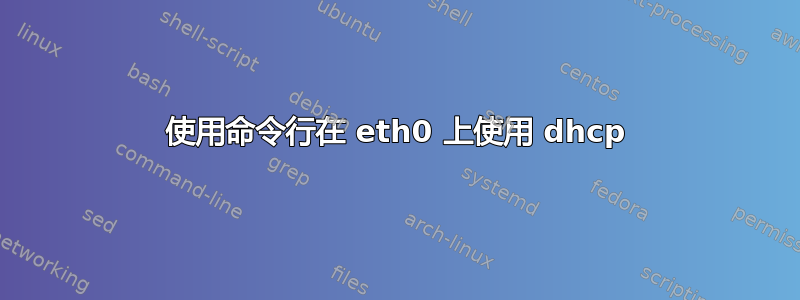 使用命令行在 eth0 上使用 dhcp