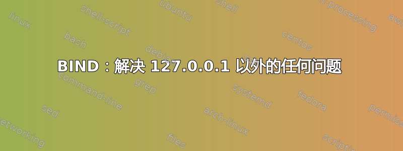 BIND：解决 127.0.0.1 以外的任何问题