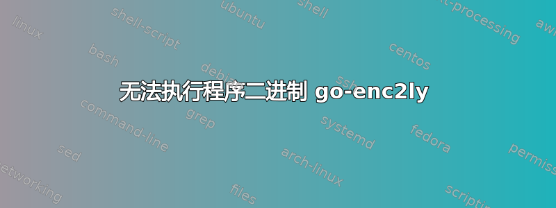 无法执行程序二进制 go-enc2ly