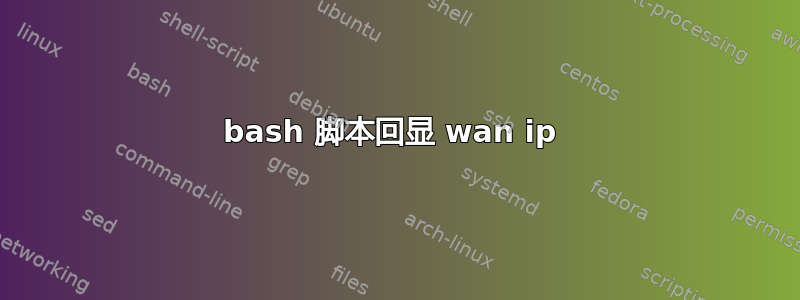 bash 脚本回显 wan ip 