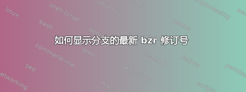 如何显示分支的最新 bzr 修订号