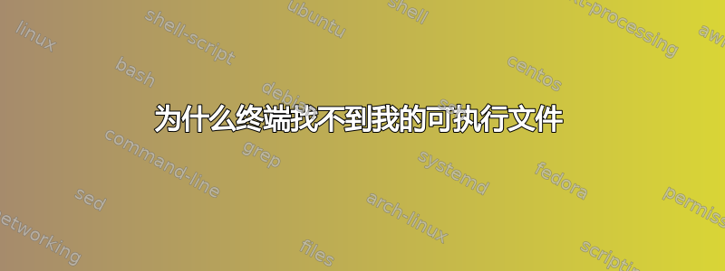 为什么终端找不到我的可执行文件