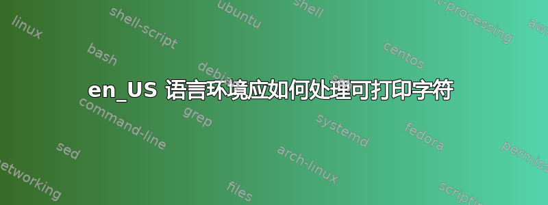 en_US 语言环境应如何处理可打印字符