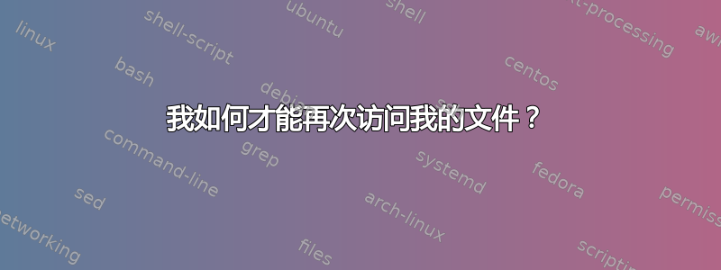 我如何才能再次访问我的文件？