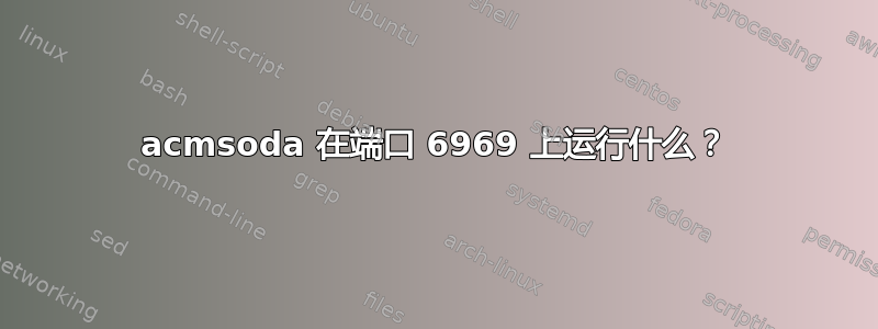 acmsoda 在端口 6969 上运行什么？