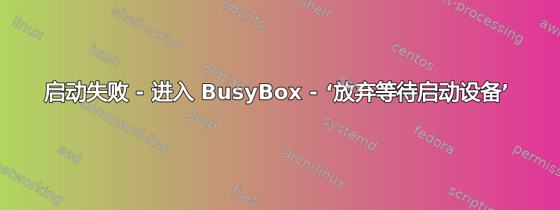 启动失败 - 进入 BusyBox - ‘放弃等待启动设备’