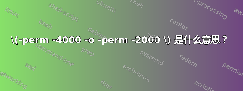 \(-perm -4000 -o -perm -2000 \) 是什么意思？