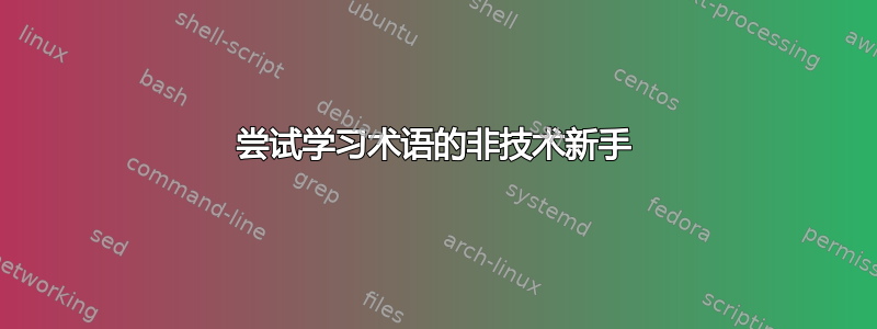 尝试学习术语的非技术新手