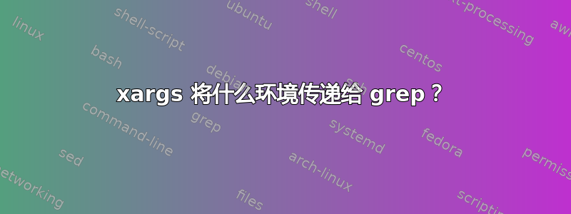 xargs 将什么环境传递给 grep？