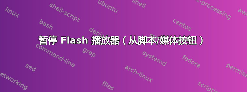 暂停 Flash 播放器（从脚本/媒体按钮）