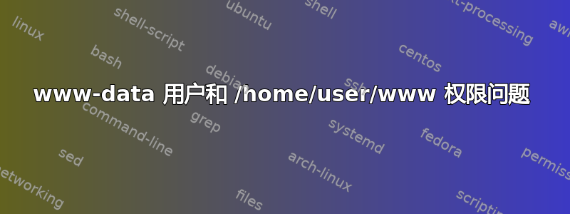 www-data 用户和 /home/user/www 权限问题