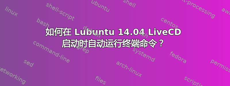 如何在 Lubuntu 14.04 LiveCD 启动时自动运行终端命令？