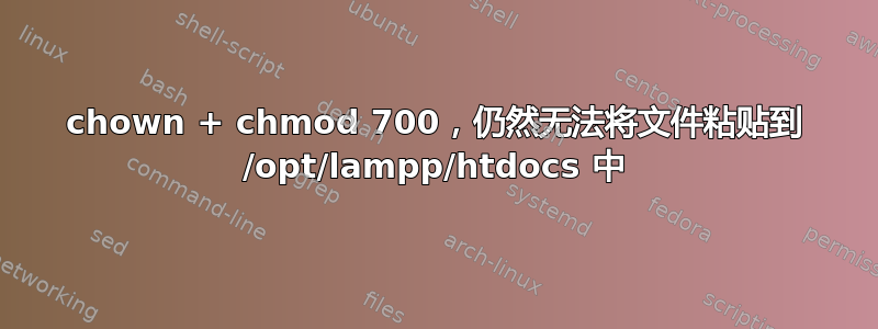 chown + chmod 700，仍然无法将文件粘贴到 /opt/lampp/htdocs 中