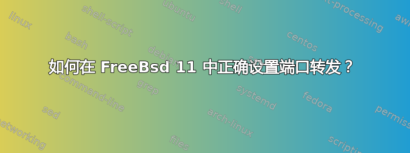 如何在 FreeBsd 11 中正确设置端口转发？