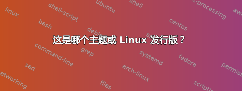 这是哪个主题或 Linux 发行版？