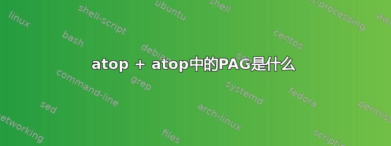 atop + atop中的PAG是什么