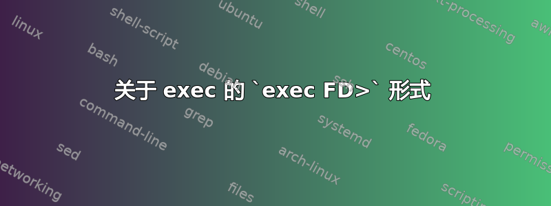 关于 exec 的 `exec FD>` 形式