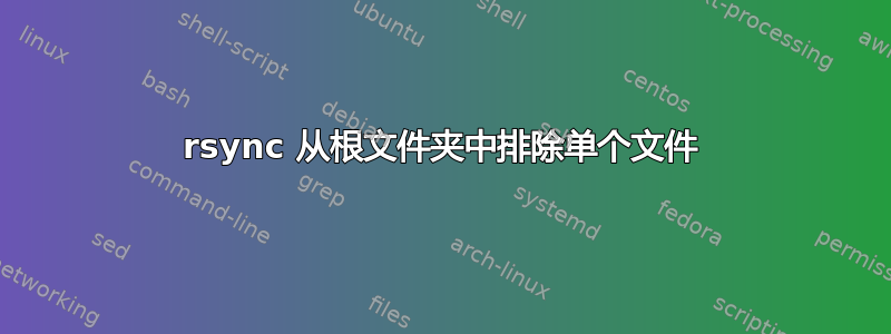 rsync 从根文件夹中排除单个文件