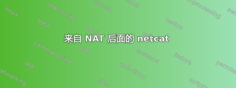 来自 NAT 后面的 netcat