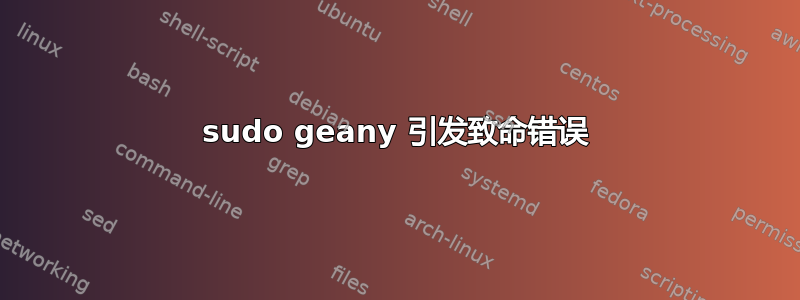 sudo geany 引发致命错误