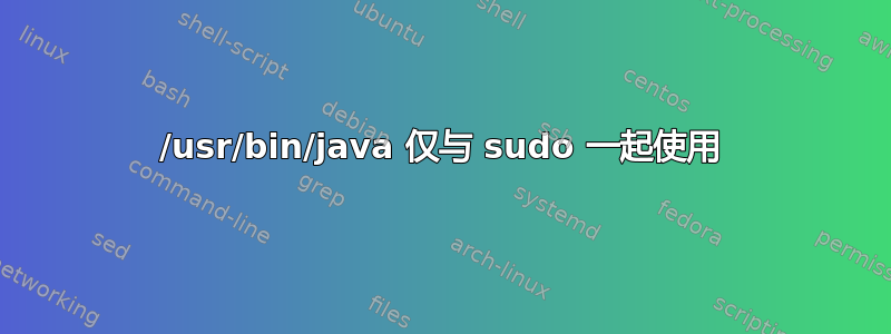 /usr/bin/java 仅与 sudo 一起使用