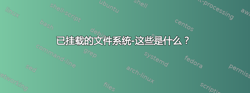 已挂载的文件系统-这些是什么？