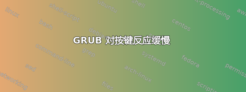 GRUB 对按键反应缓慢