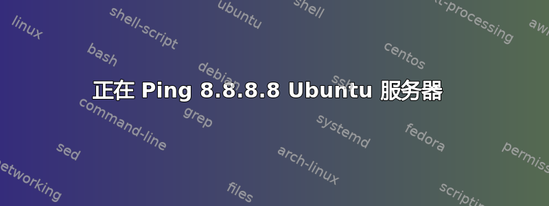 正在 Ping 8.8.8.8 Ubuntu 服务器 