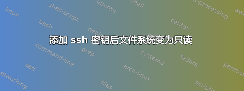 添加 ssh 密钥后文件系统变为只读